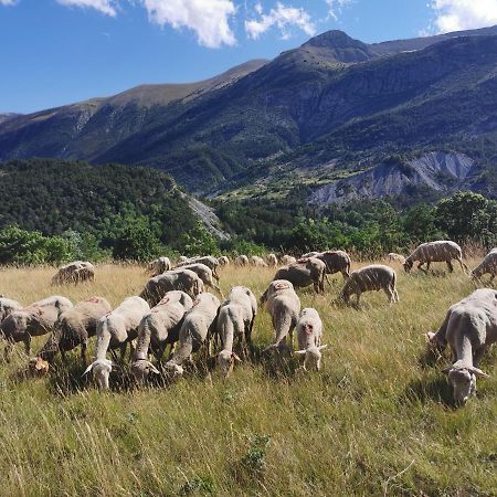 La Peyregoune, Logement En Pleine Nature Et Table D'Hotes Blieux Екстер'єр фото