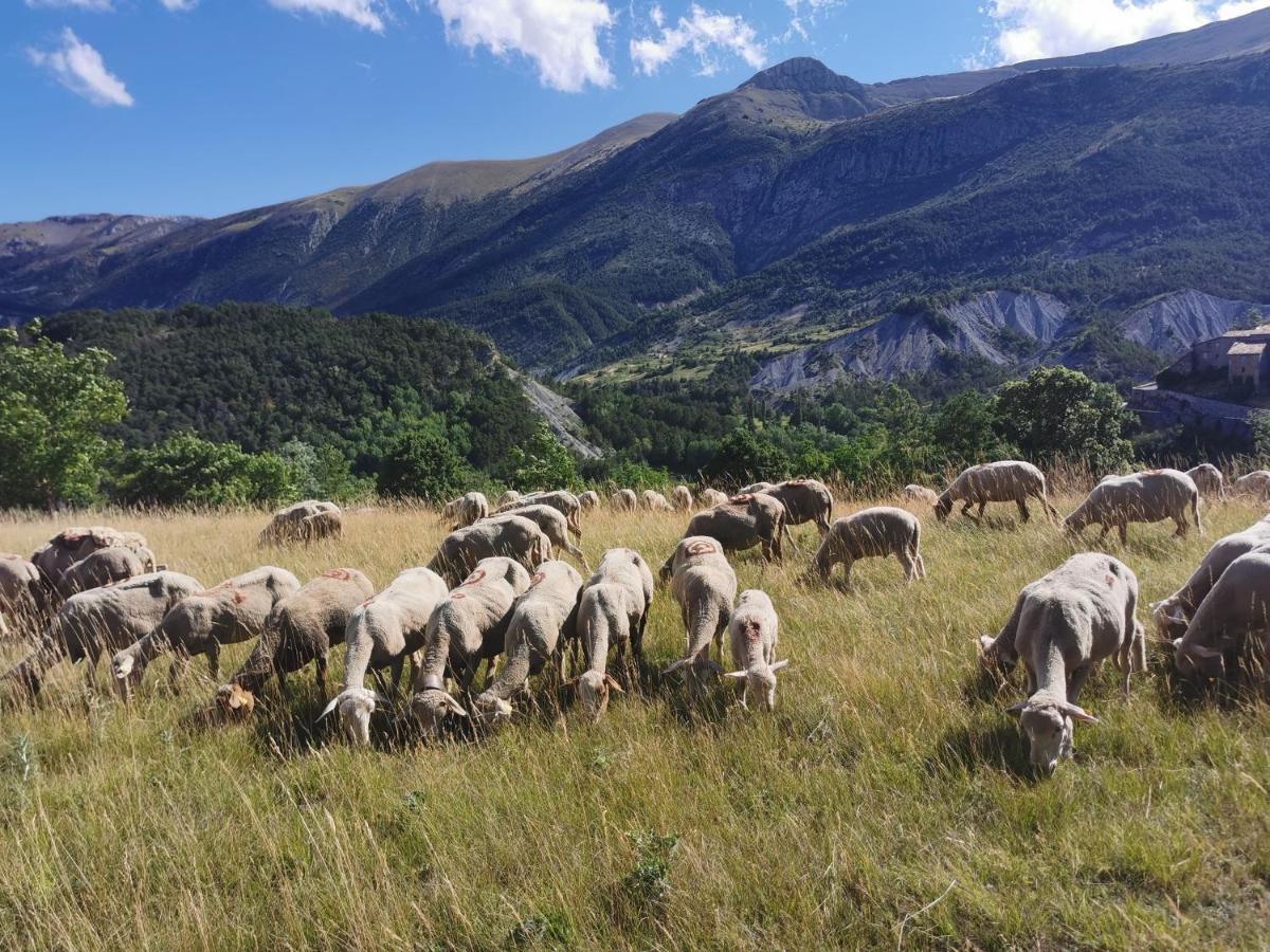 La Peyregoune, Logement En Pleine Nature Et Table D'Hotes Blieux Екстер'єр фото